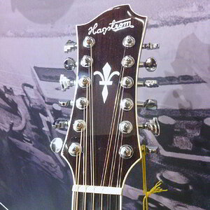 Kopfplatte der Hagstrom Siljan Grand Auditorium 12 String