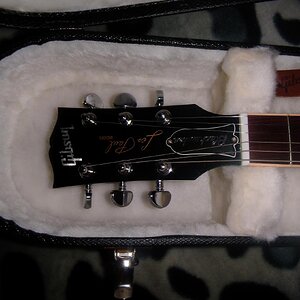 Gibson Blackwater
