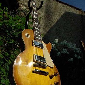 LP7