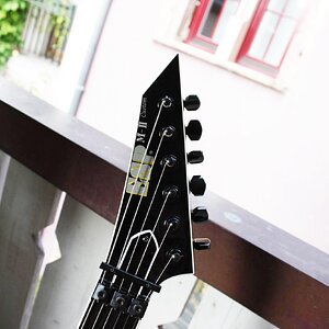 P1010132