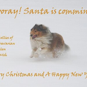 2013 Xmas