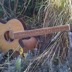 Epiphone PR 4E