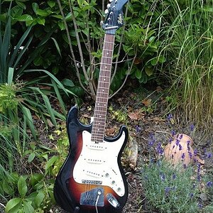 Hoefner Strat 170V 01