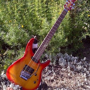 Hohner Soulpick Prototype 1