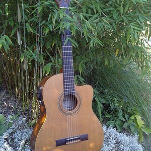 Ortega RCE131 SN