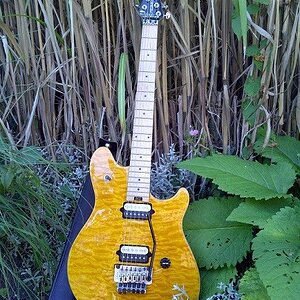 Peavey Wolfgang EVH