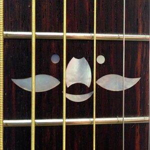 NAMM DO 5