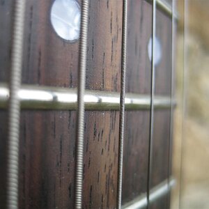 IMG 4055 (Custom)