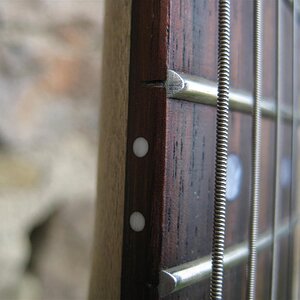 IMG 4056 (Custom) (2)