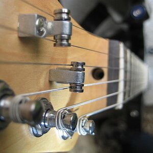 IMG 4038 (Custom)