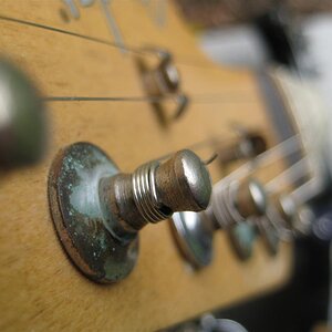 IMG 4034 (Custom)