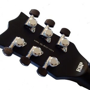 Schaller Klemmmechaniken, da ich mit Sperzels auf keiner meiner Gitarren zufrieden war...