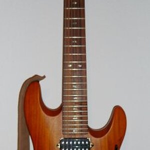 Lag The Beast Seven

7-string, Mahagonie Korpus, Ahorn Hals mit Palisander Griffbrett. Die Pickups waren ab Werk etwas schwach im Output. Jetzt hat sie einen DiMarzio Evolution 7 am Steg und der steht ihr vom Sound her sehr gut!