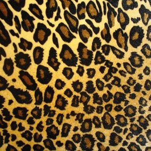 leopard print