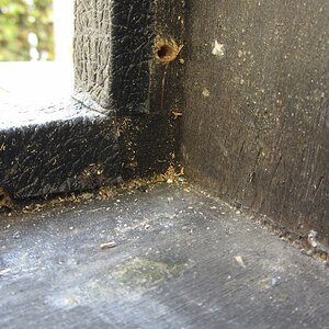 IMG_0129 (1280x719)