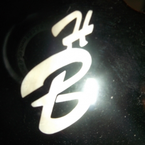HB-Logo Headstock