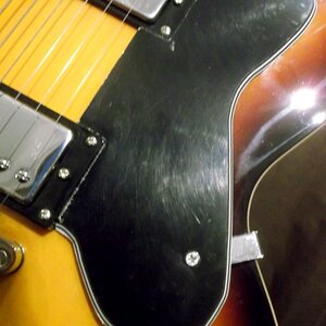Pickguard 1