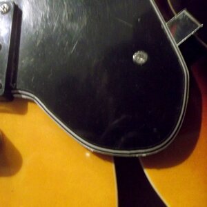 Pickguard 2