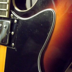 Pickguard 3