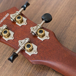 Harley Benton ELUKE-50C NT - Mechaniken
