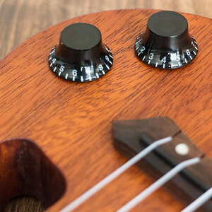 Harley Benton ELUKE-50C NT - Potis