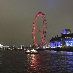 IMG_8245