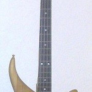 Bass