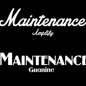 Maintenance