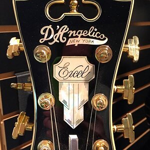 DAngelico Headstock