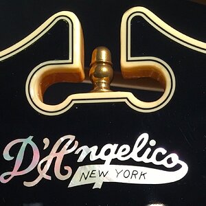 DAngelico Logo