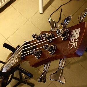 IMG_1403 Copia