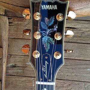 Yamaha SG25s head stock