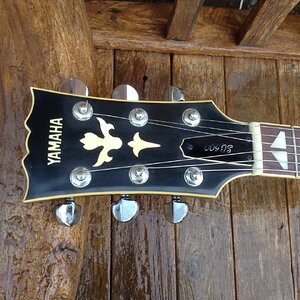 Headstock Yamaha SG500, 1978