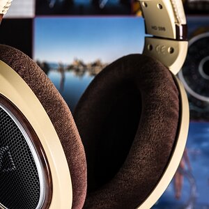 Pink Floyd in the ears