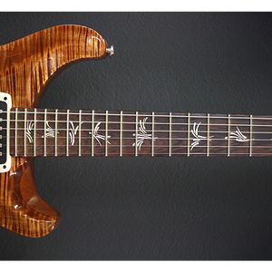 Pauls-guitar-8