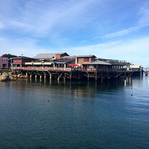 IMG_1917
