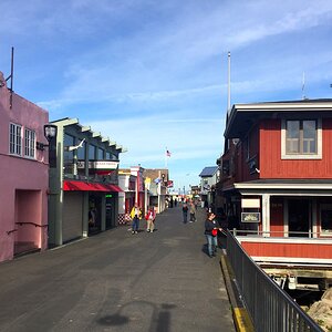IMG_1919