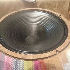 G12M Speaker1 Cone Reconed