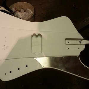 Passprobe Pickguard.