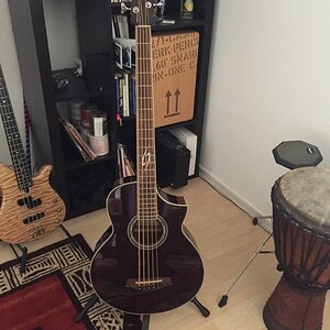 A-Bass ibanez ebw 205