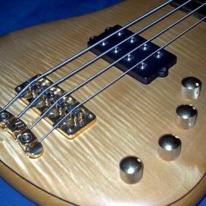 Warwick Corvette F.N.A. '97