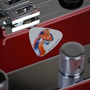 Chicks on Picks & meine Telecaster