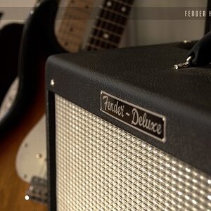 * Fender Hot Rod Deluxe