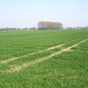 feld1