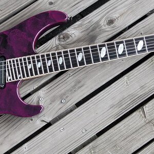 Caparison Horus