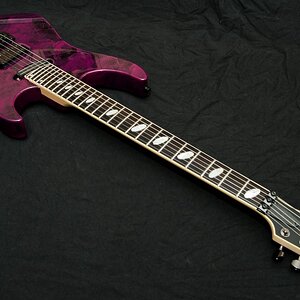 Caparison Horus