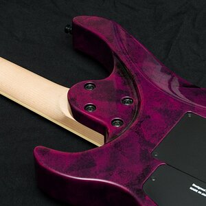 Caparison Horus - Neck Access