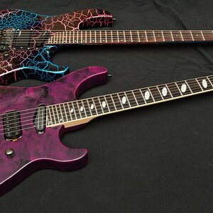 Caparison Horus und Washburn EC29