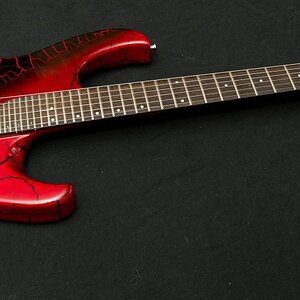 Washburn EC36