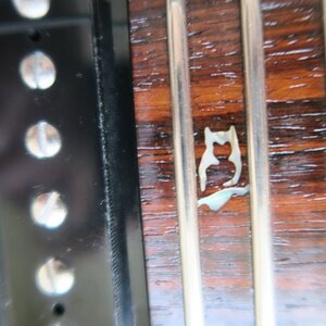PRS 24 Fret Owl